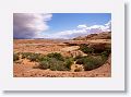 11WahweapHangingGardens 036